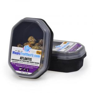 Buy Magic Truffles Atlantis online, Magic truffles for sale online Europe, Berlin, Munich, London, Manchester, Paris, Madrid, Rome, Brussels,